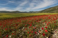 castelluccio 5 june 2013